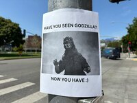 IMG_8919.jpeg