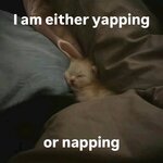 IMG_4675.jpeg