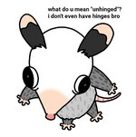 IMG_0973.jpeg