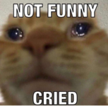 EDn1QwsXsAAnBIR.png