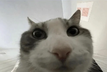 1778736246884.png
