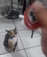 9f15e9e9bbadd22ea769be3a64e6f2cb.png