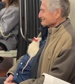IMG_4036.jpeg