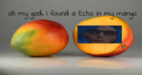 Echo Mango.png