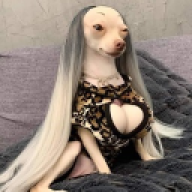 Ariel Scaletta