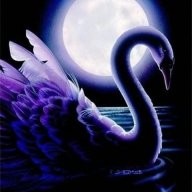 Swan Diffie