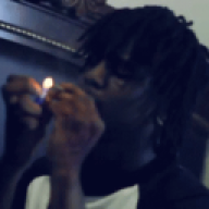 RemyPolo