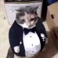 Shimeshka