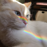 Bibi Thygesen