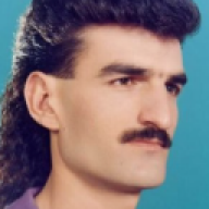 Ronald Bitterman