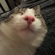 Bloo Turner