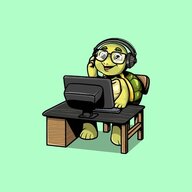 Turtle Franklin