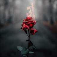 Ruby black