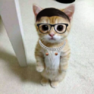 popo