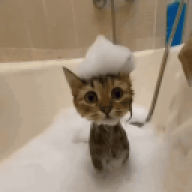 OOPLAYTIME