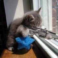 Crooklyn Kat