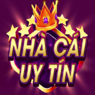nhacaiuytindz