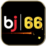 bj66j96t