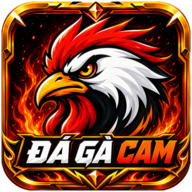 dagacamvideo